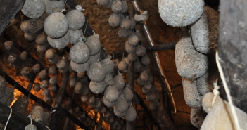 Il caciocavallo irpino - Grotte di calitri