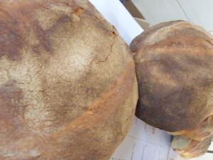 Pane di Montecalvo Irpino