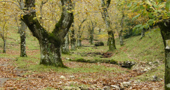 Sentiero il circuito di Santo Stefano del Sole