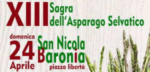 Sagra dell'asparago selvatico - 24 aprile 2016 - San Nicola Baronia - Irpinia